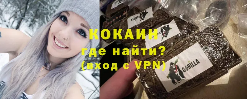 COCAIN Боливия  Ливны 