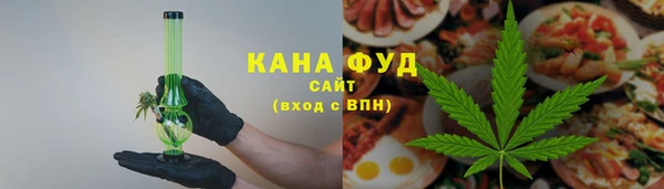 индика Бронницы